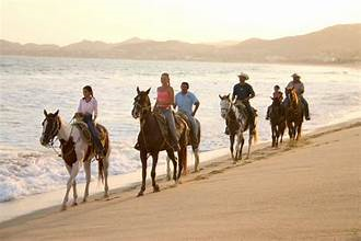 Paseos a caballo